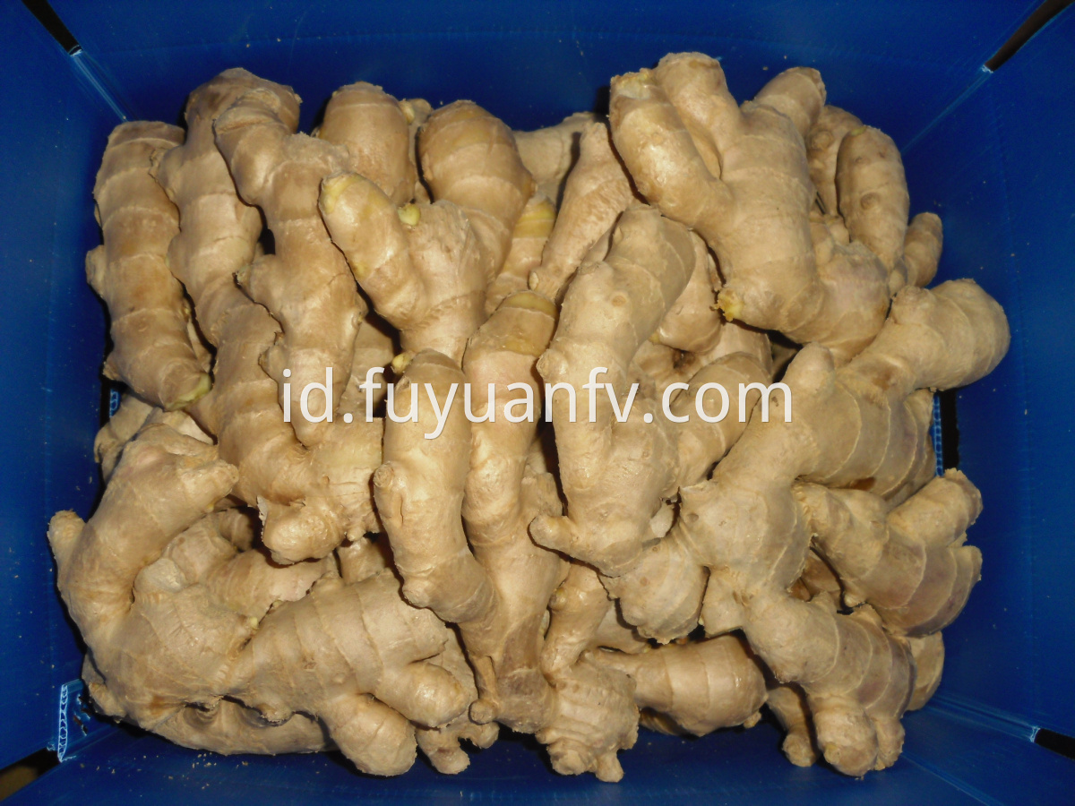 good quality dried ginger 